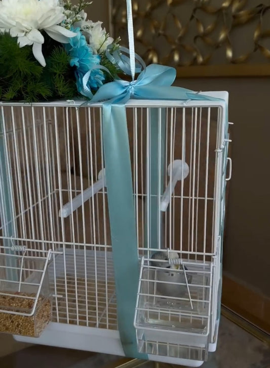 Lovebirds (Budgies / Parakeets)